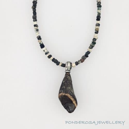 Fossilized Walrus and Ancient Roman Glass